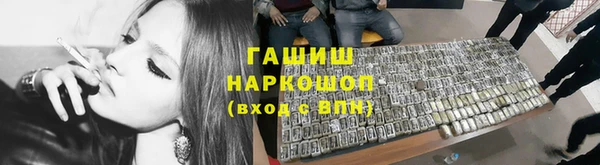 стаф Богданович