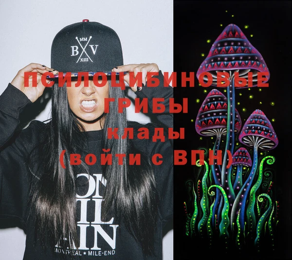 молекула духа Дмитровск