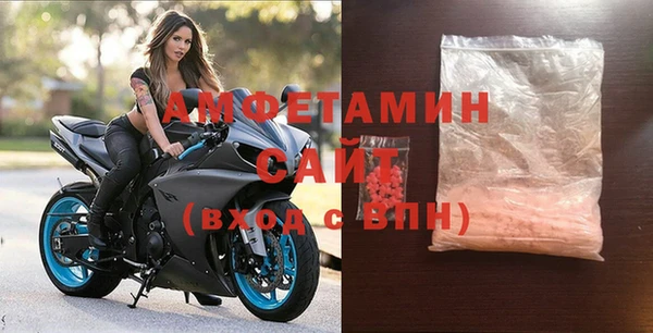 стаф Богданович