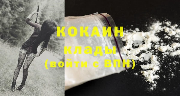 стаф Богданович