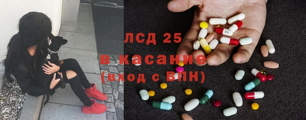 стаф Богданович