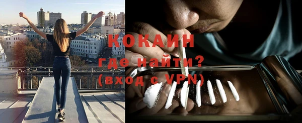 стаф Богданович