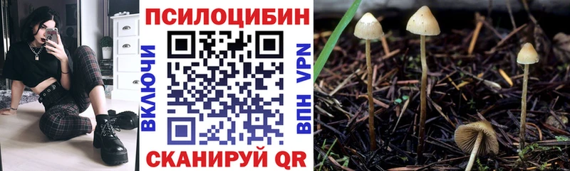 Галлюциногенные грибы мухоморы omg зеркало Томари сколько стоит